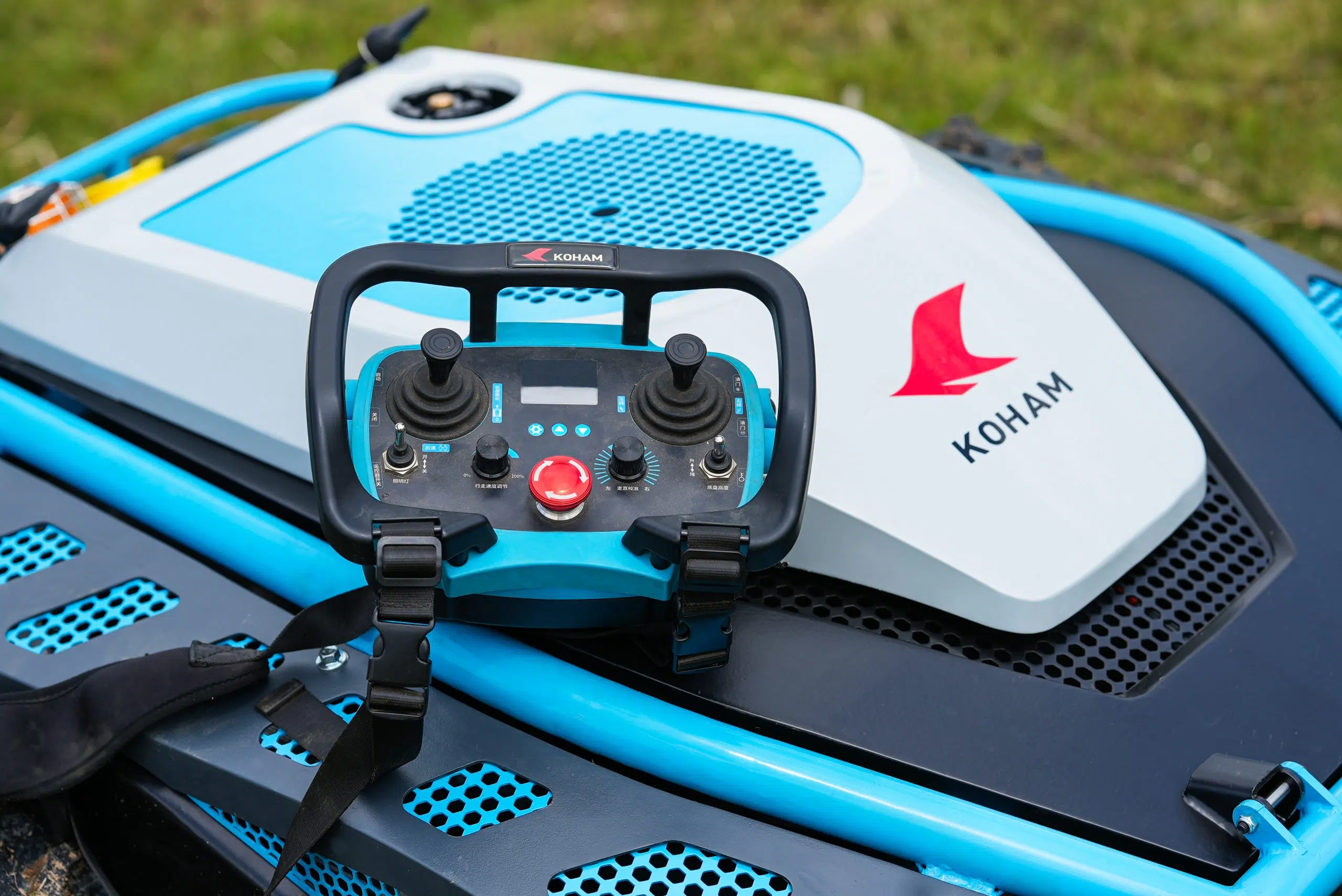 Miniatura 5